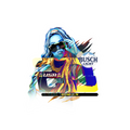 Priscilla USA Sticker